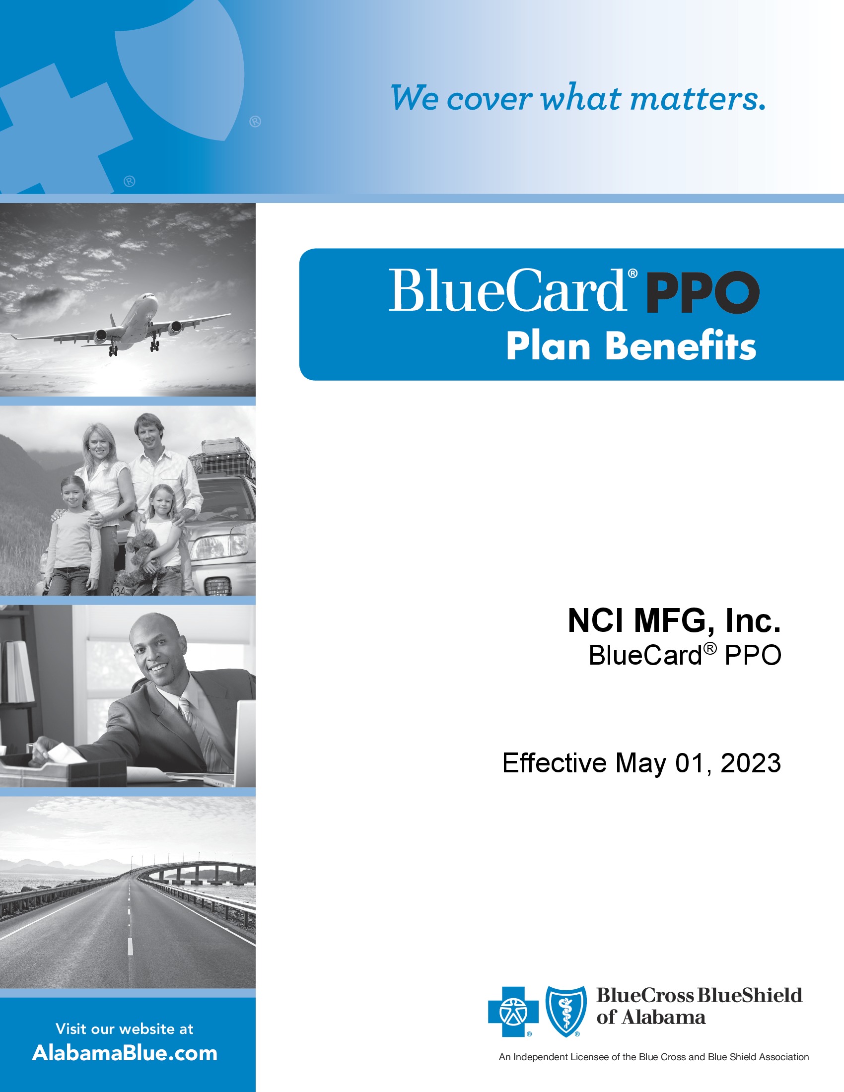 /docs/files/BCBS Heath Matrix 2023(1680012444)[0].jpg